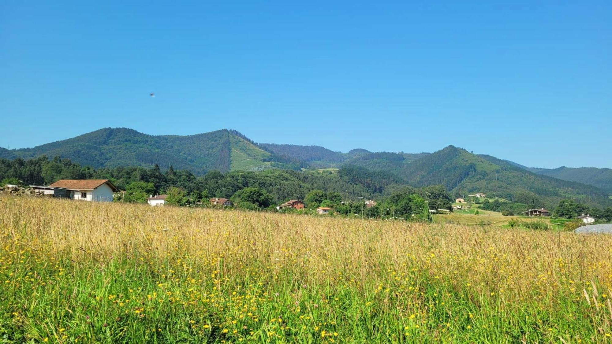 Hotel Aldori Landetxea - Reserva De La Biosfera Urdaibai - Adults Only Muxika Esterno foto